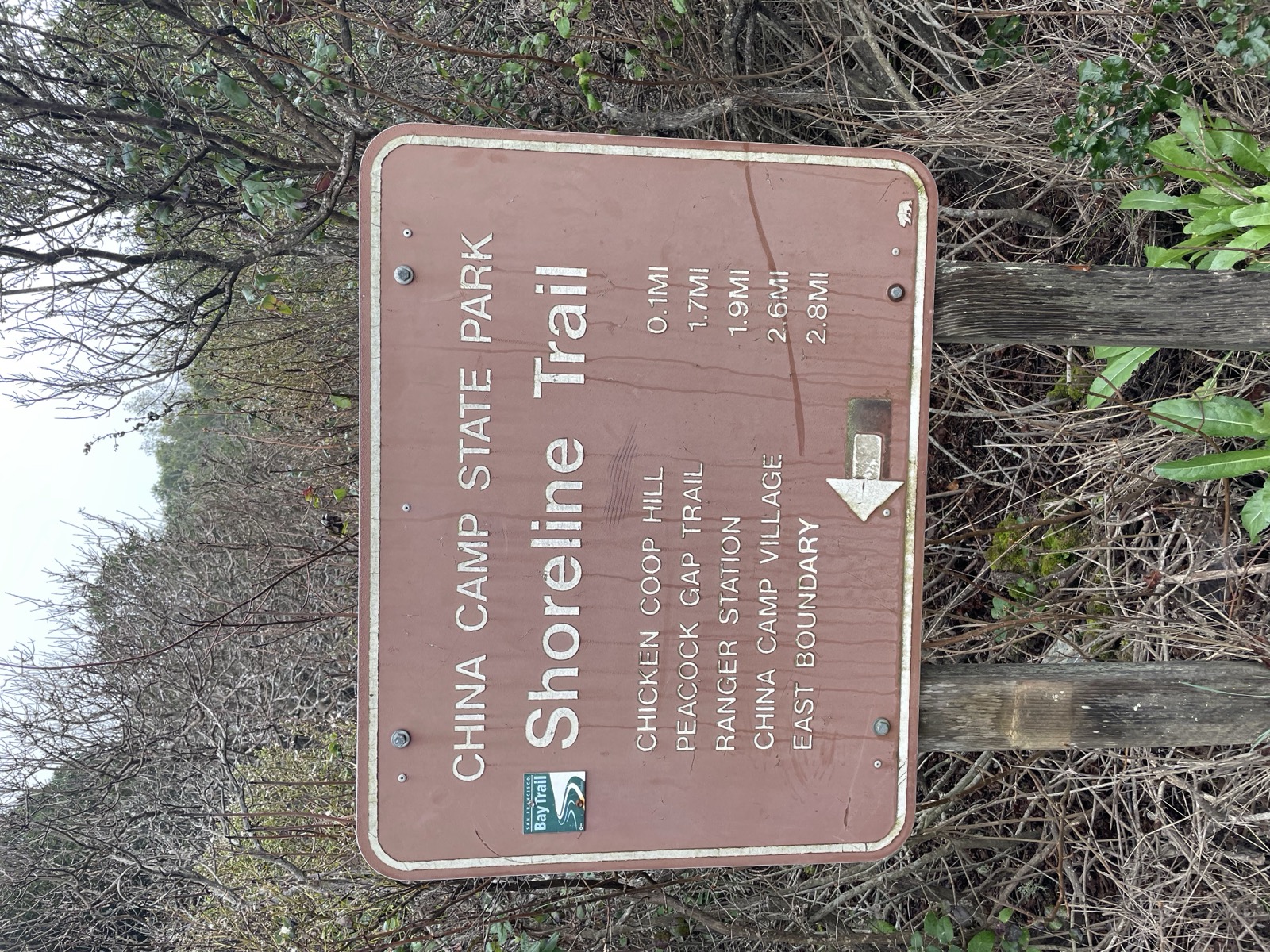 Segment 4, photo 8