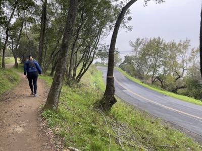 Segment 4 photo 6