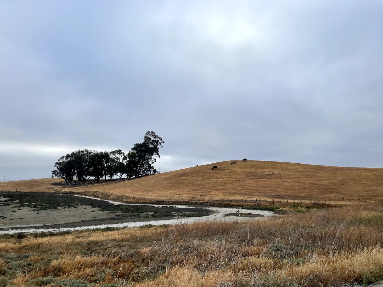Segment 41, photo 1