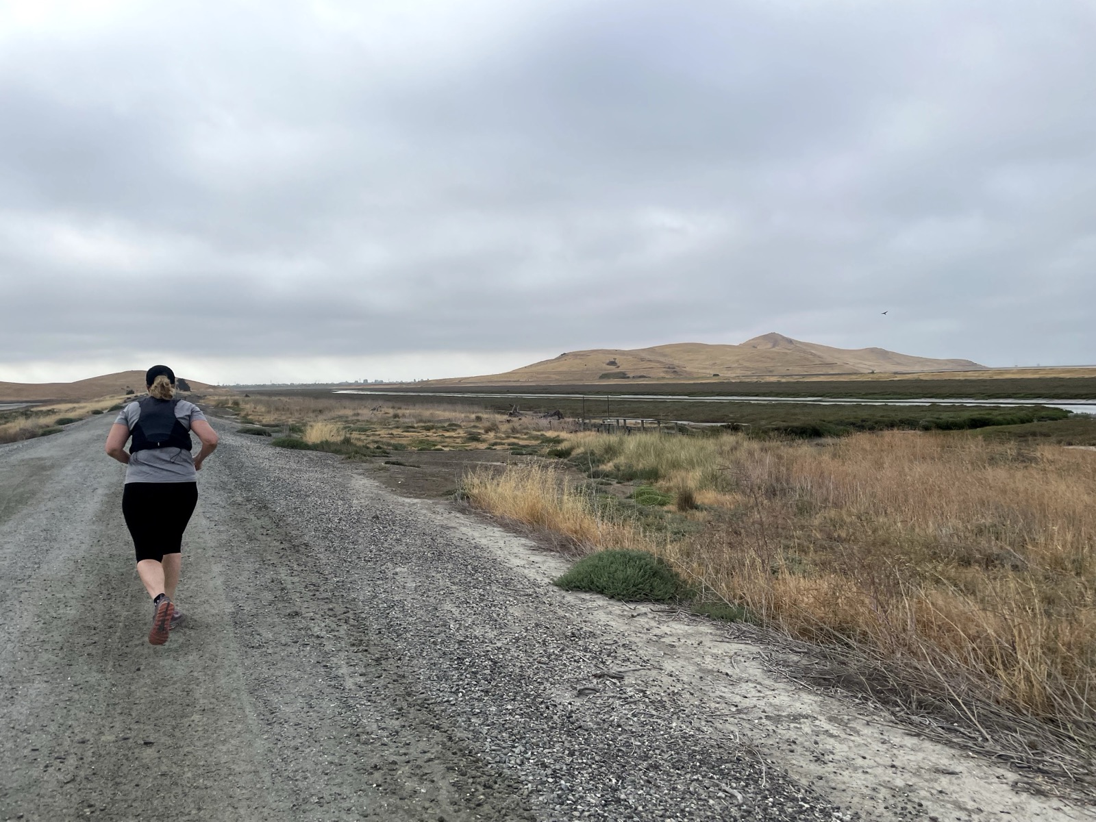 Segment 41, photo 6