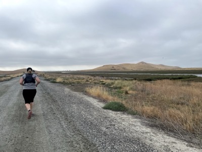 Segment 41 photo 6
