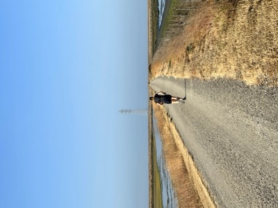 Segment 42 photo 3