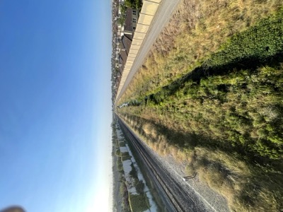 Segment 42 photo 5