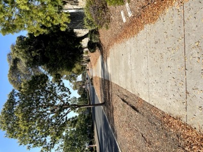 Segment 42 photo 6