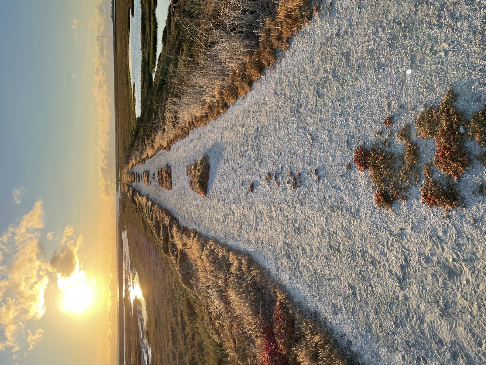 Segment 43, photo 15
