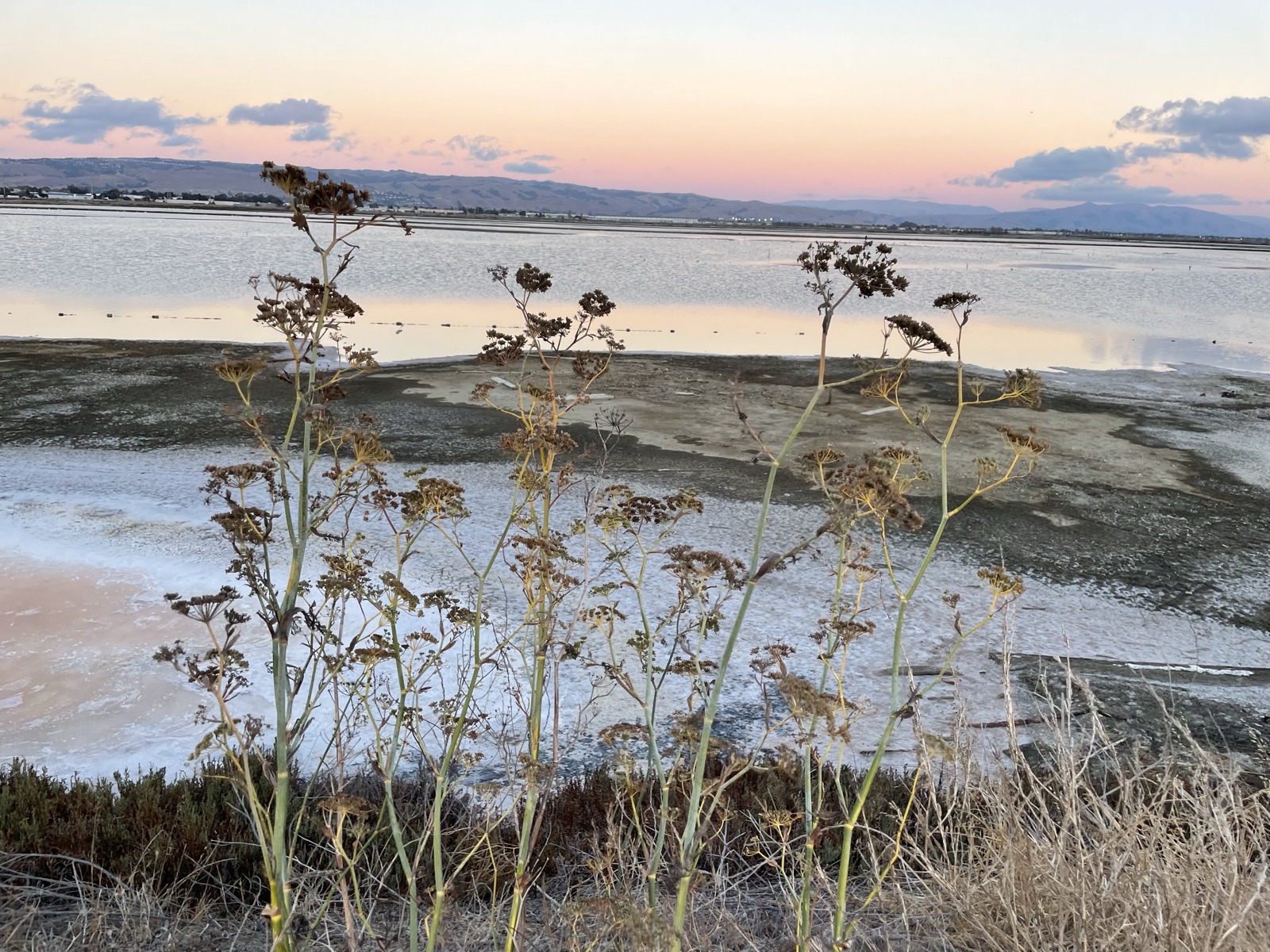 Segment 43, photo 23