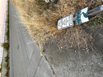 Segment 43 photo 3