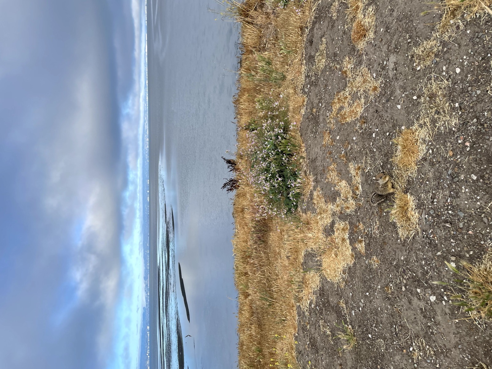 Segment 45, photo 2