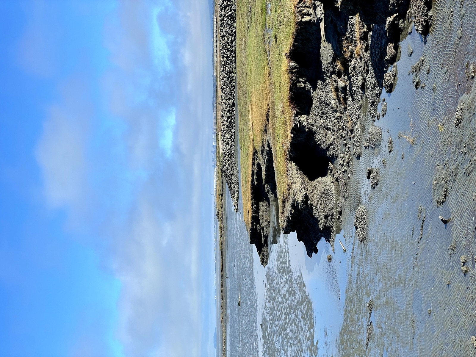 Segment 45, photo 8