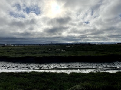 Segment 45 photo 4