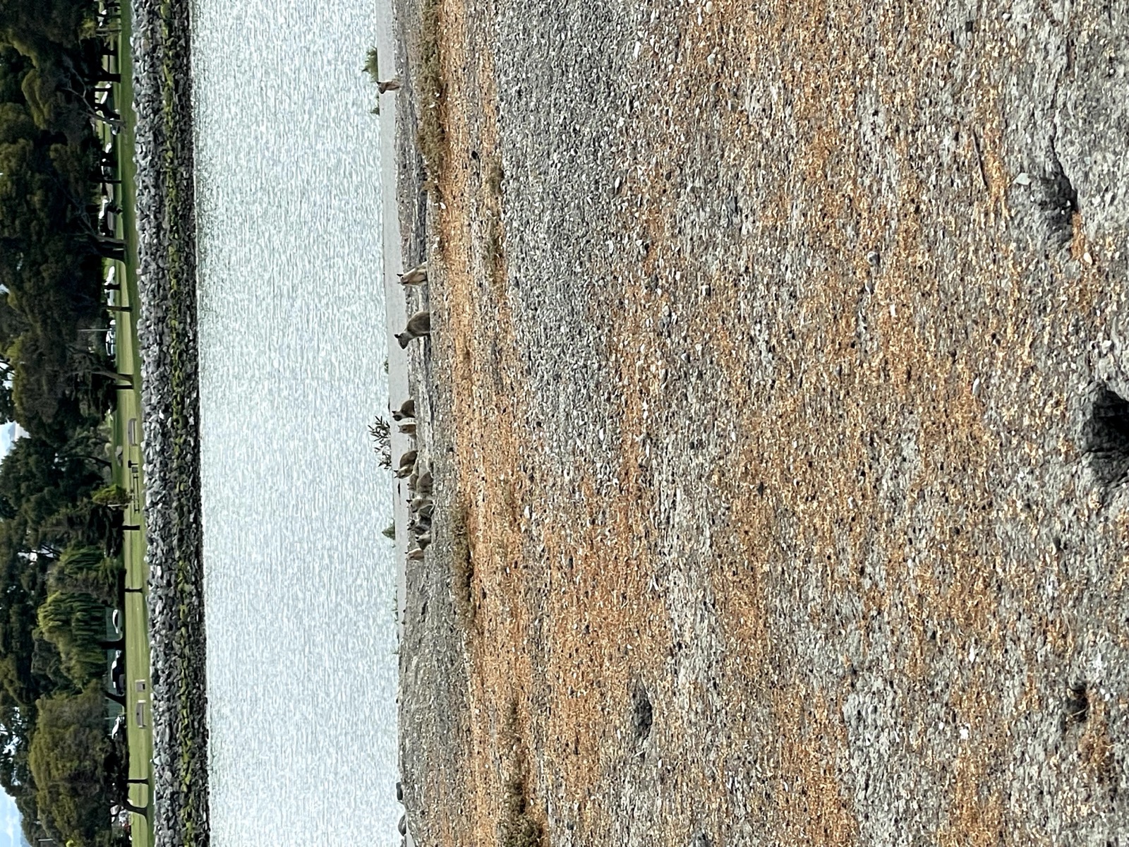 Segment 46, photo 2