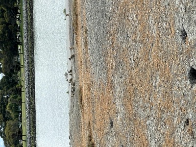 Segment 46 photo 2