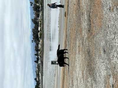 Segment 46 photo 3