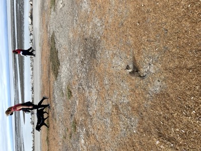 Segment 46 photo 4