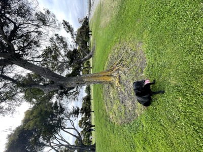 Segment 46 photo 8