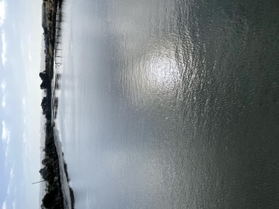 Segment 47 photo 2