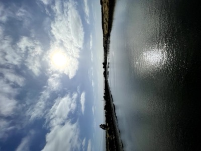 Segment 47 photo 3