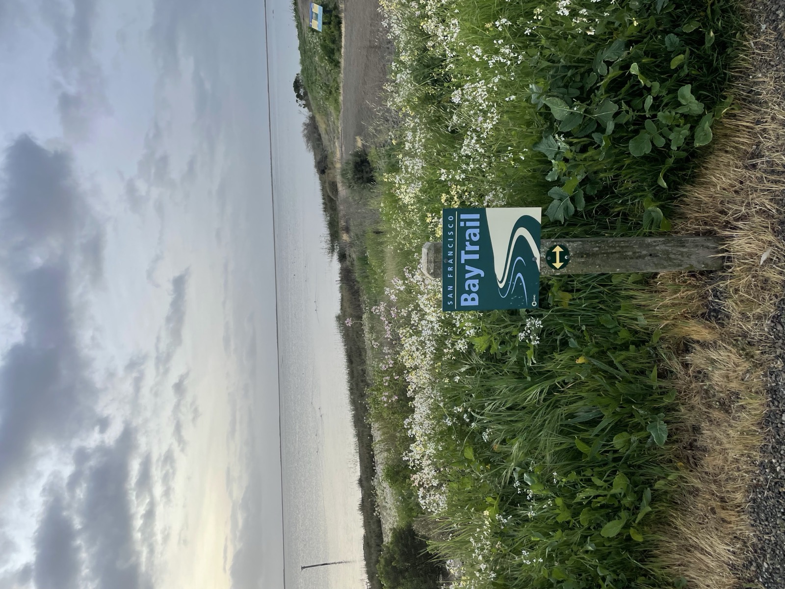 Segment 49, photo 18