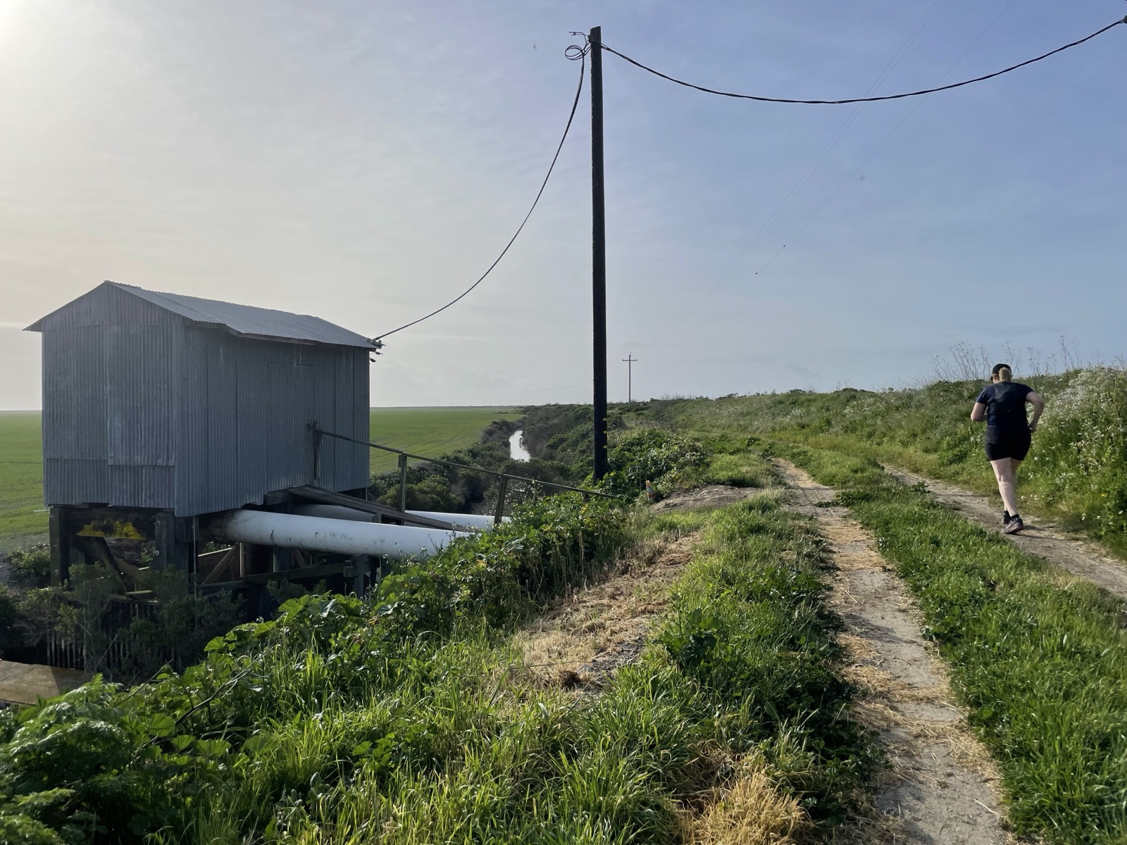 Segment 49, photo 24