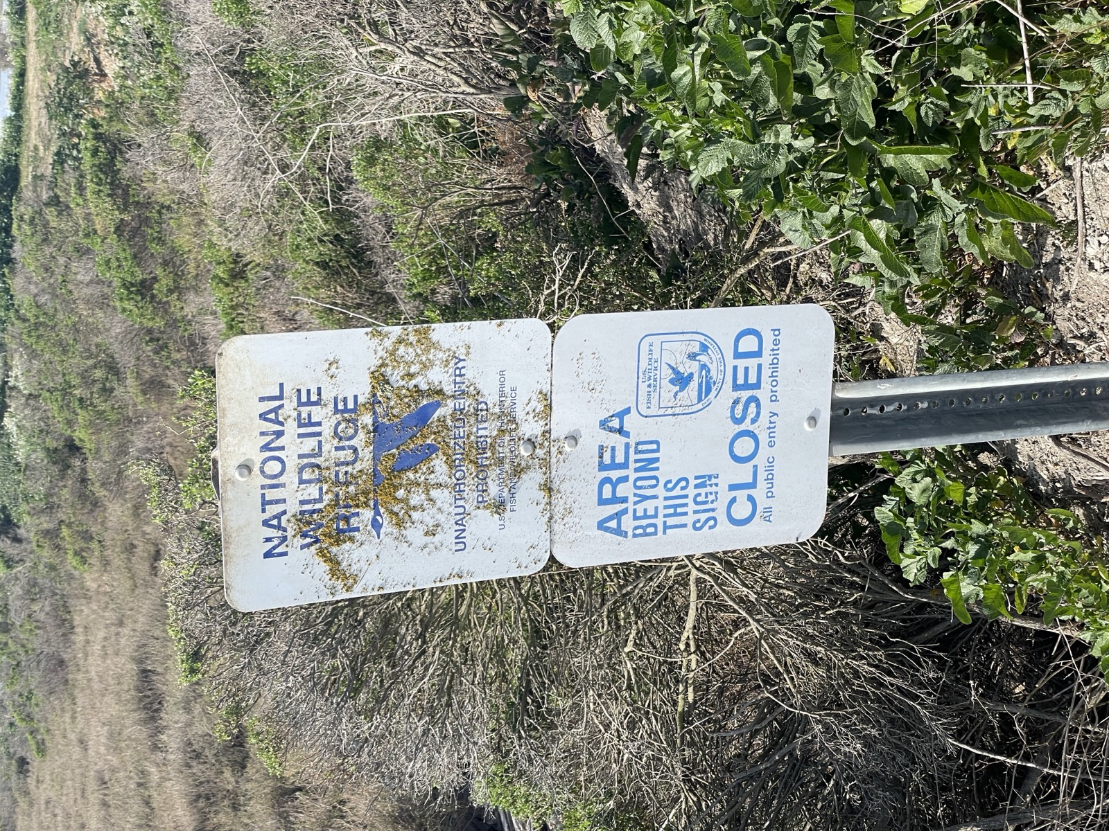 Segment 49, photo 29
