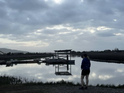 Segment 49 photo 2