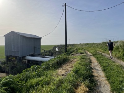 Segment 49 photo 24