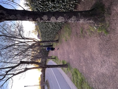 Segment 5 photo 5