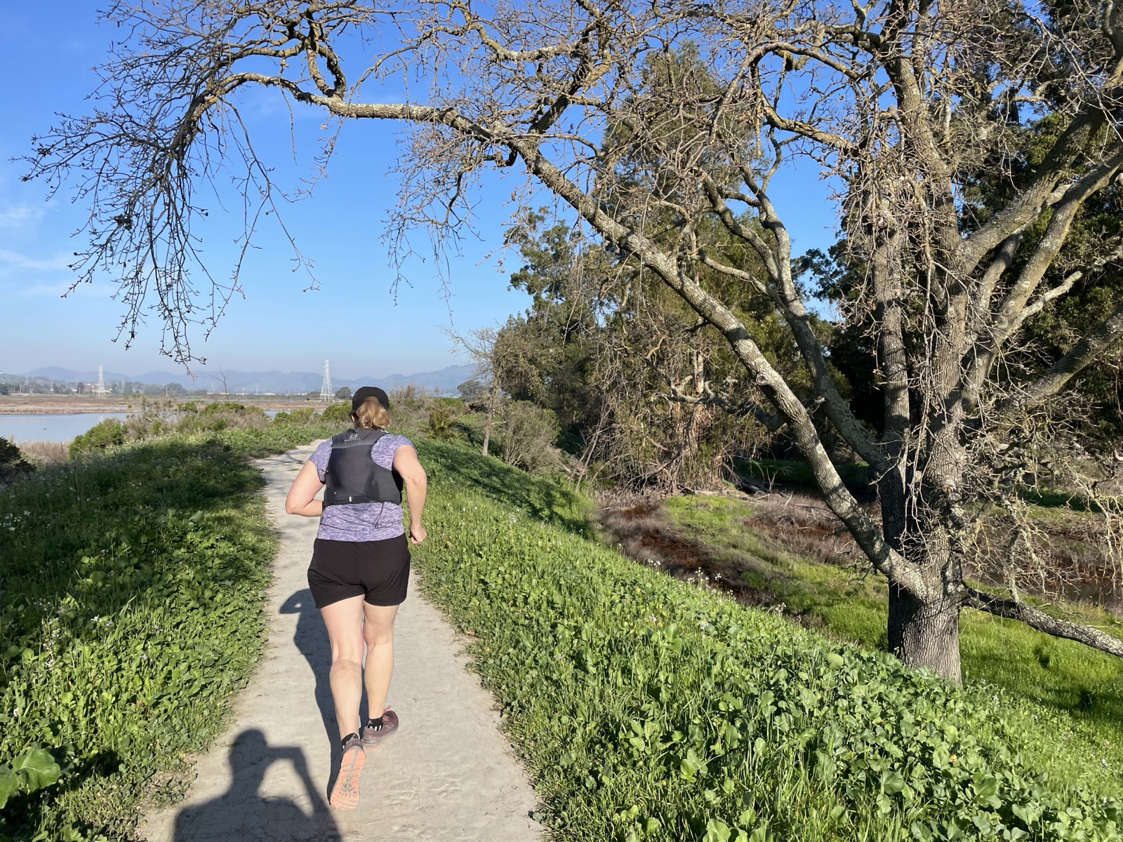 Segment 50, photo 18