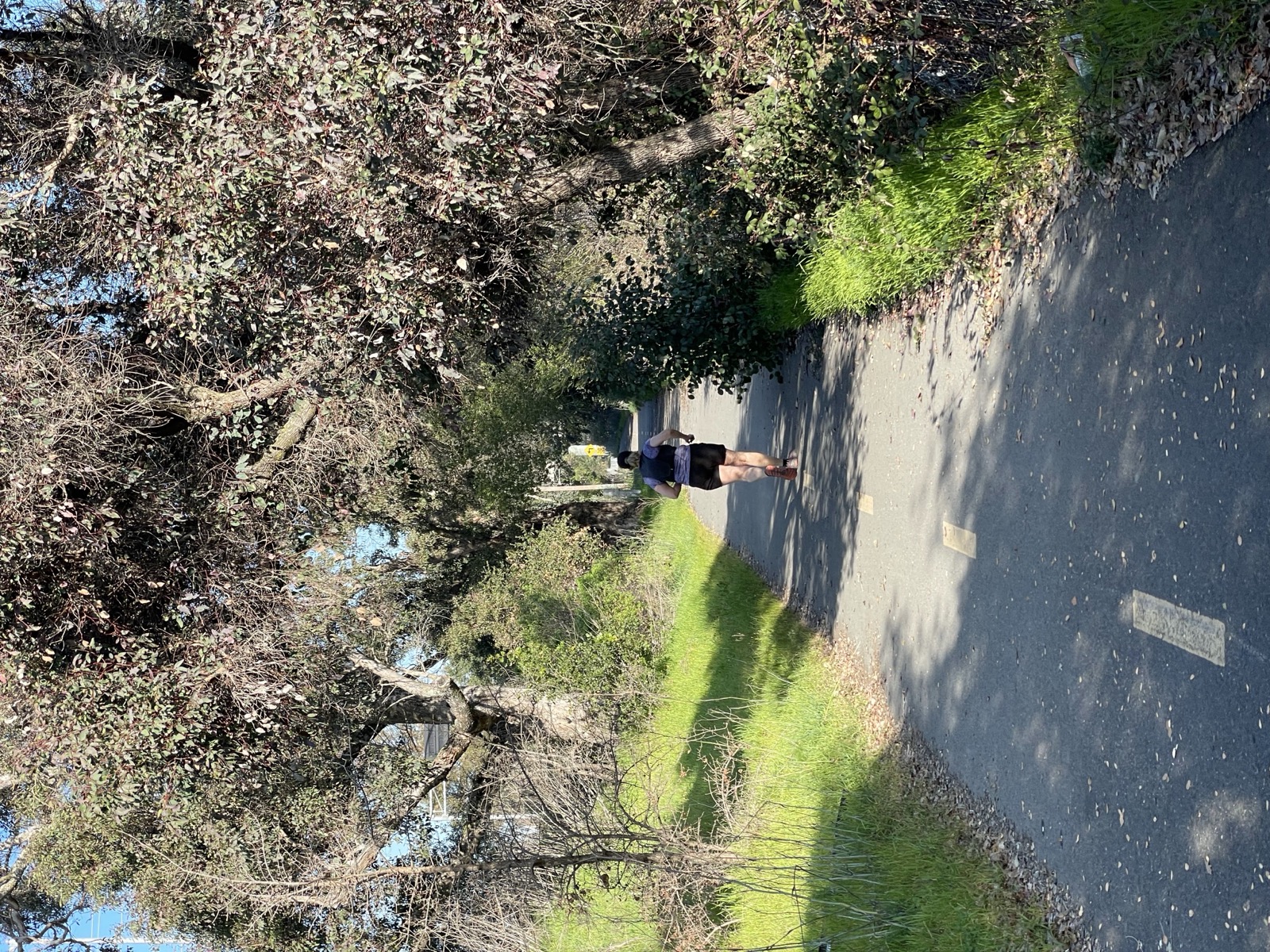 Segment 50, photo 23
