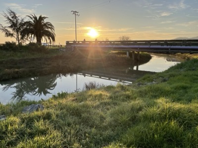 Las Gallinas ponds