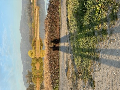 Las Gallinas ponds