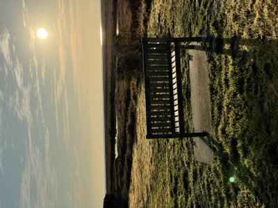 Las Gallinas ponds
