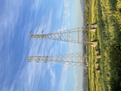 Las Gallinas ponds