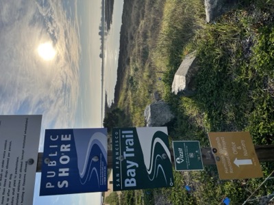Las Gallinas ponds