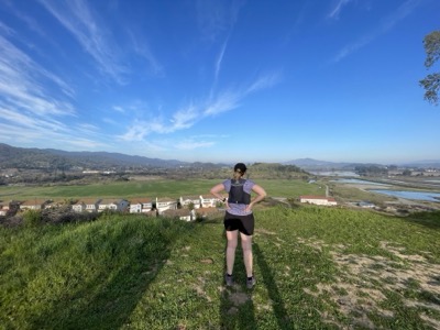 Las Gallinas ponds