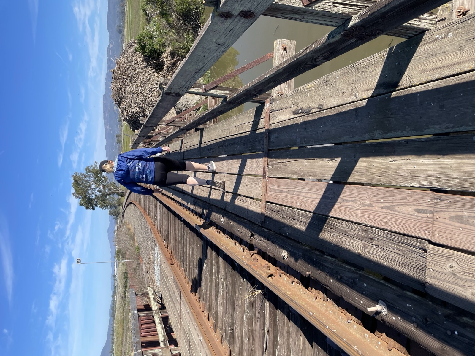 Segment 51, photo 8