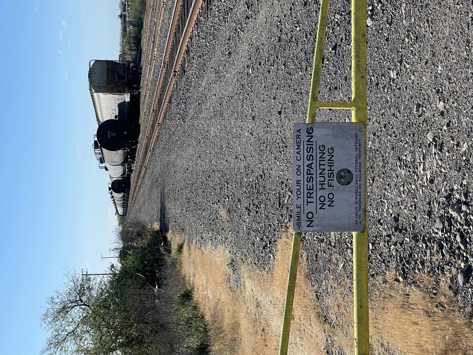 Segment 51, photo 13
