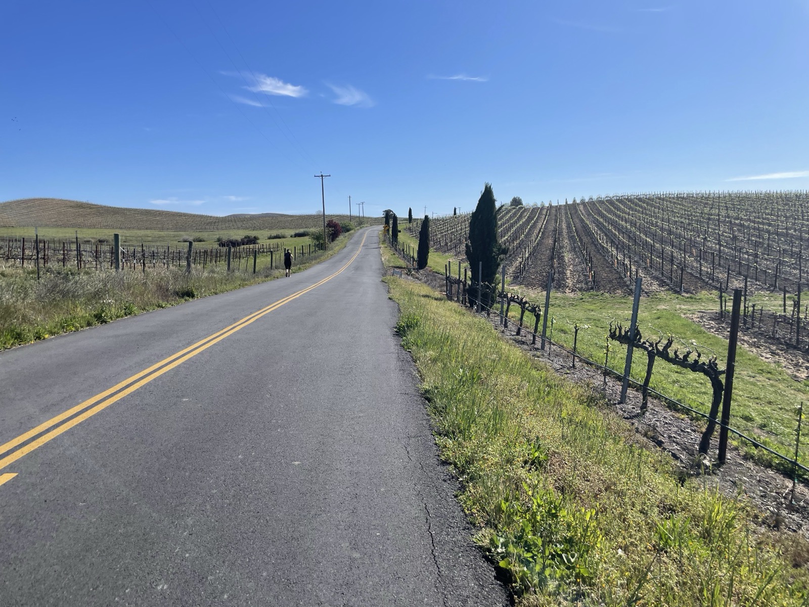 Segment 51, photo 19