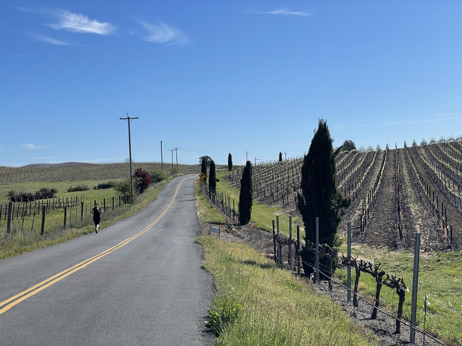 Segment 51, photo 20