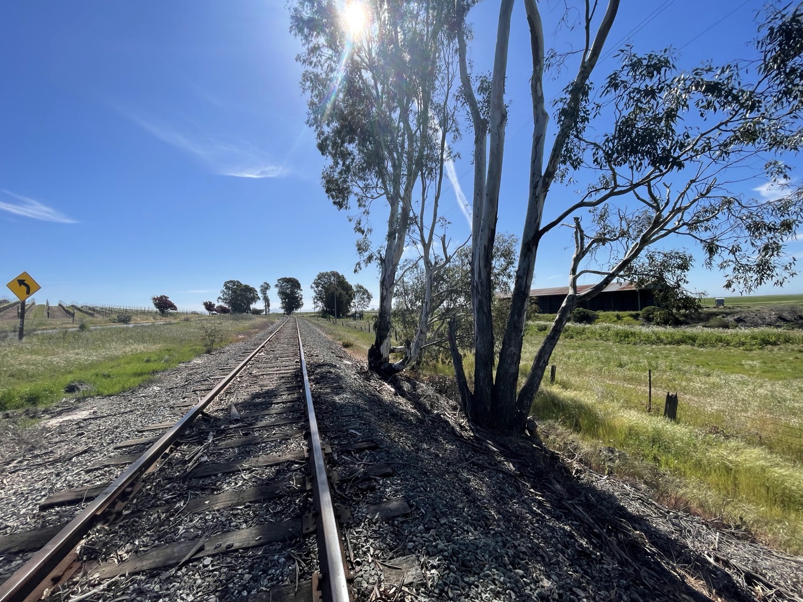 Segment 51, photo 21