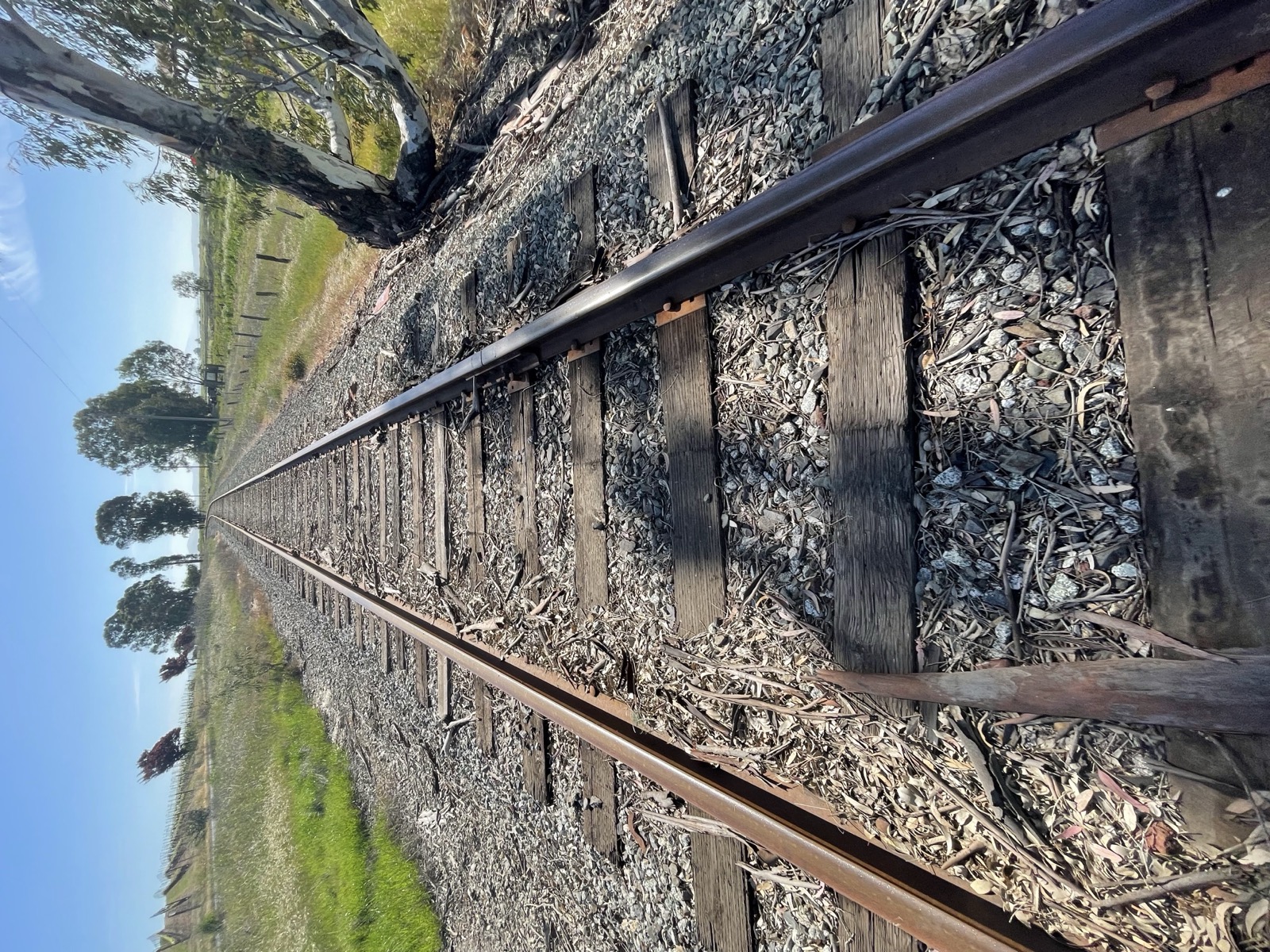 Segment 51, photo 22