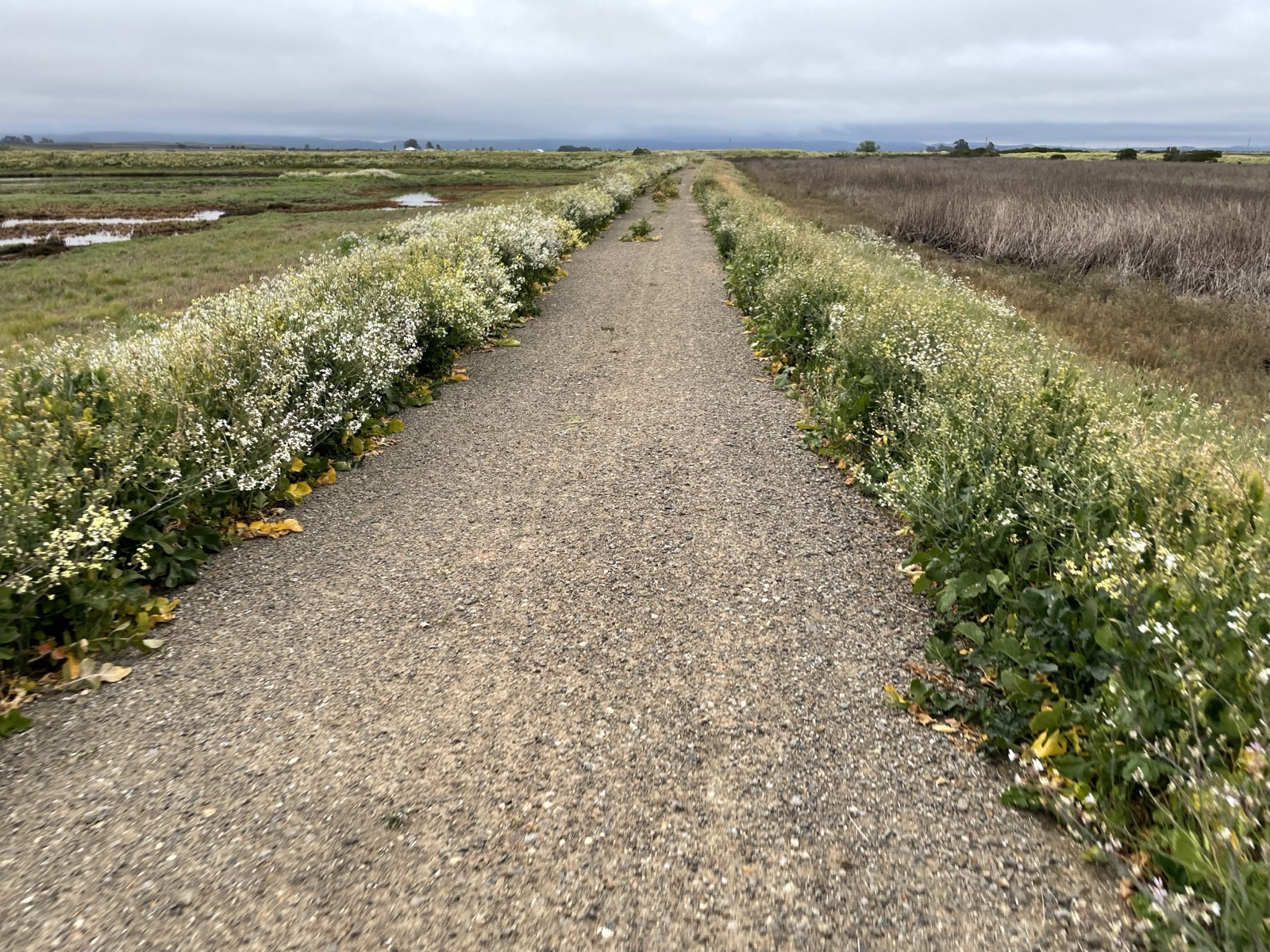 Segment 52, photo 6