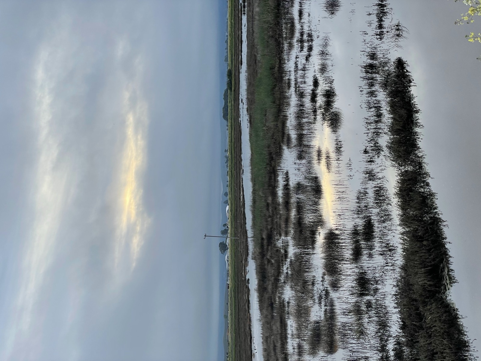 Segment 52, photo 10
