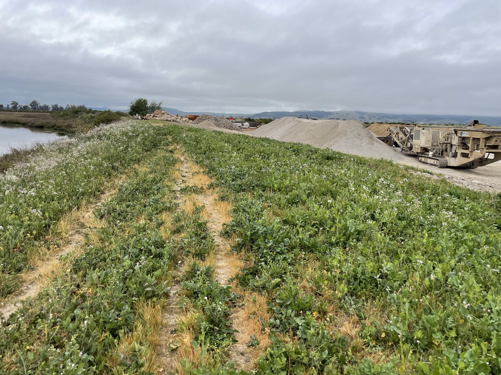 Segment 52, photo 13