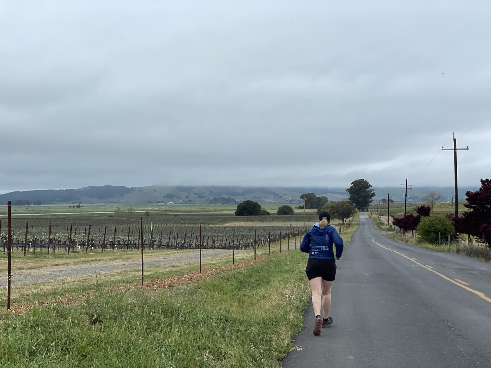 Segment 52, photo 20