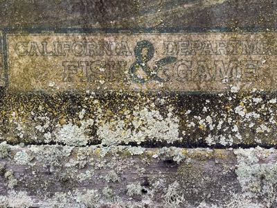 Segment 52 photo 4