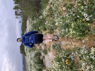 Segment 52 photo 11