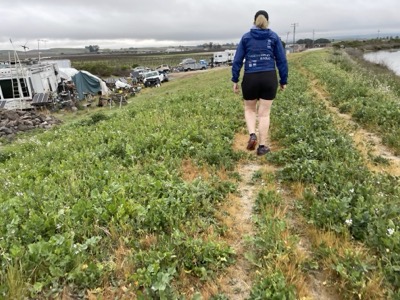 Segment 52 photo 12