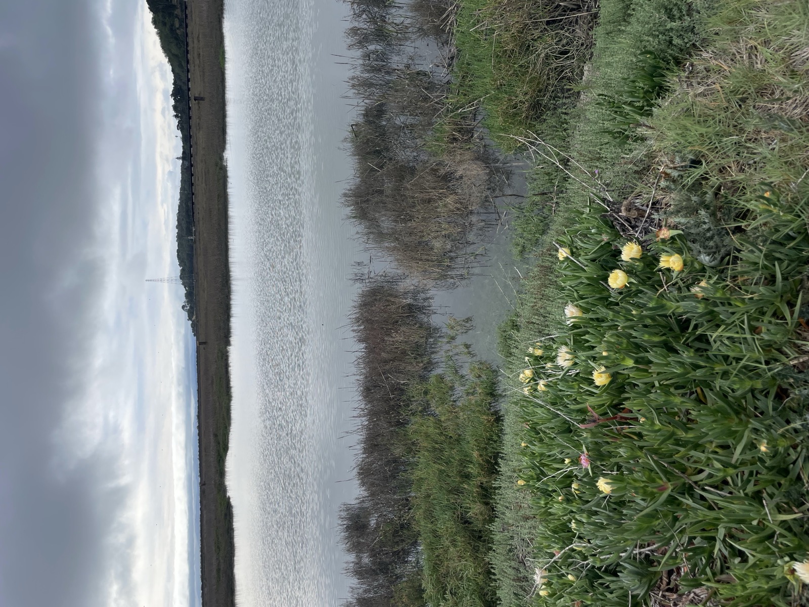 Segment 53, photo 1