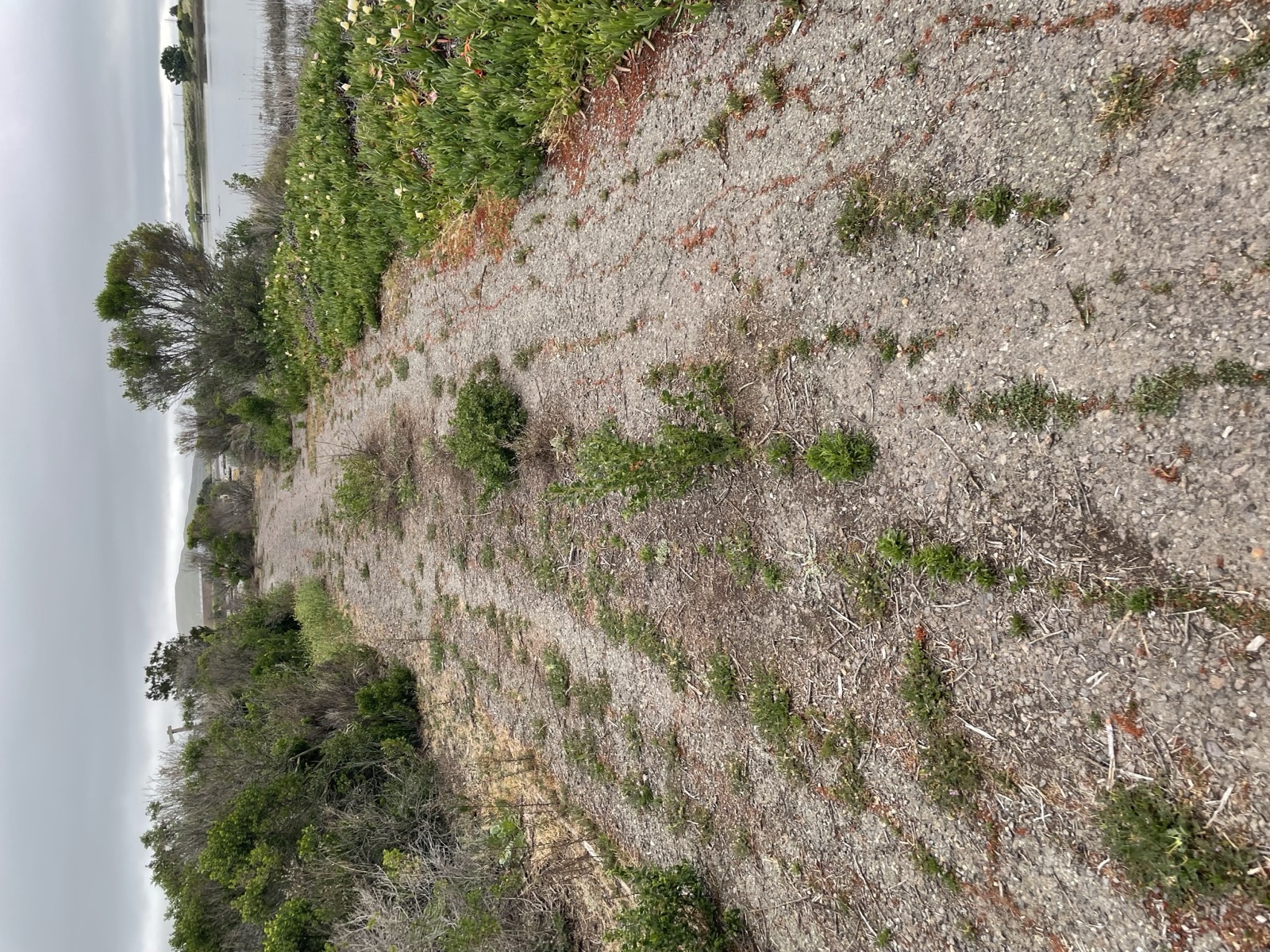 Segment 53, photo 2